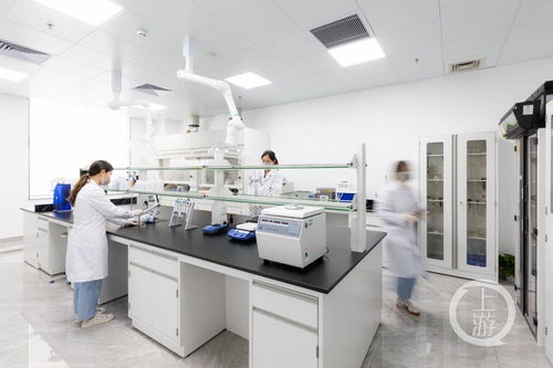 新式茶飲邁入科技新篇章 行業(yè)首個(gè)專(zhuān)業(yè)食品營(yíng)養(yǎng)與科學(xué)研究中心成立